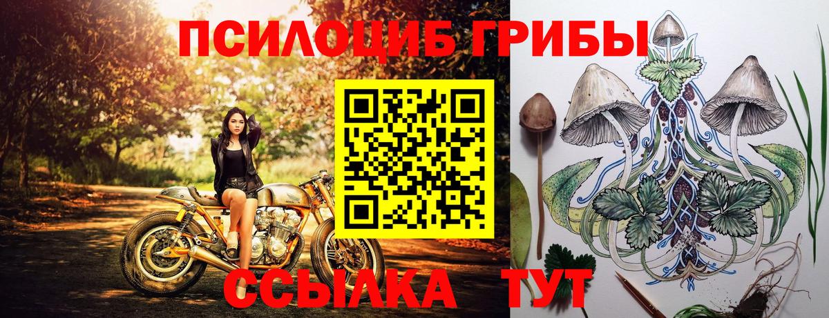 LSD-25 Полевской