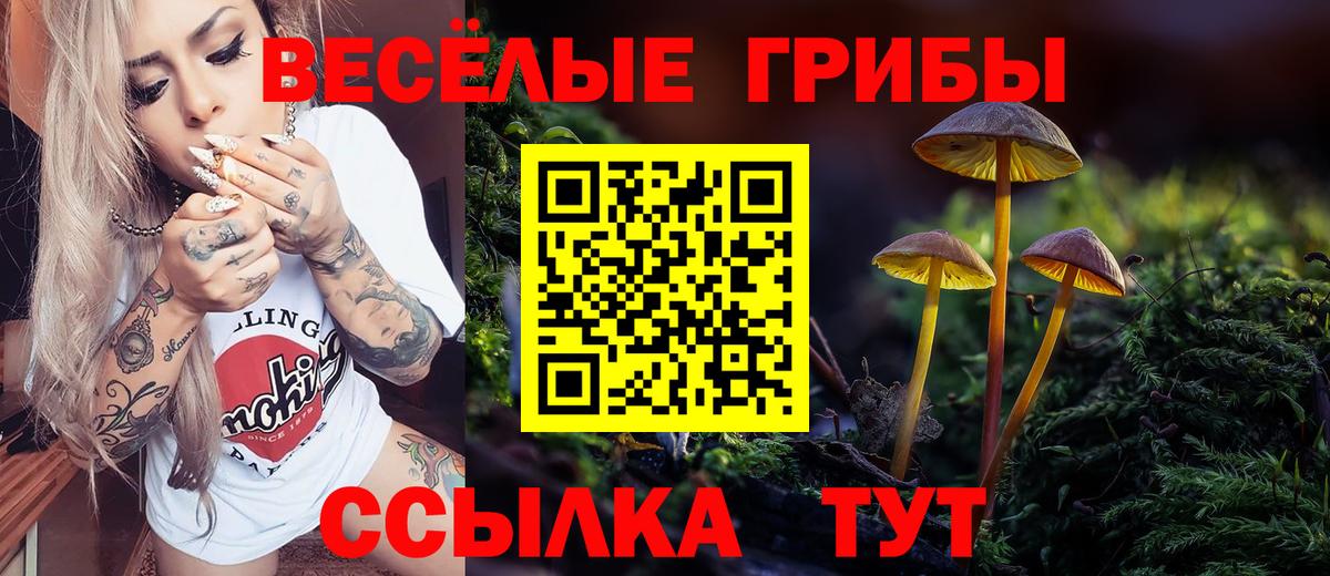 Галлюциногенные грибы ЛСД Полевской